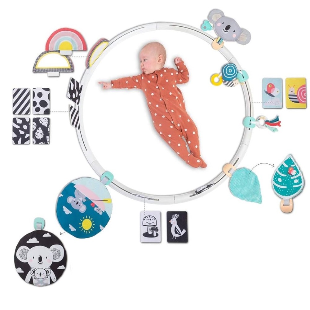 Taf Toys All Around Me Activity Hoop